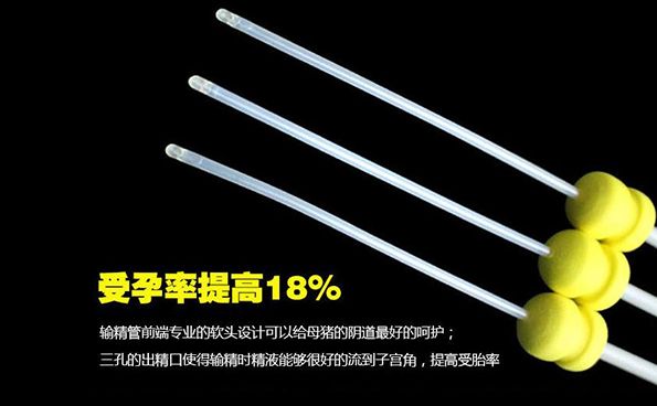 为什么要使用蒋氏猪用深部输精管