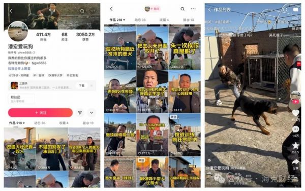 宠物博主公司__互联网+宠物商业模式