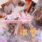 小动物讲堂丨猫咪乌龟科学tips饲养小贴士