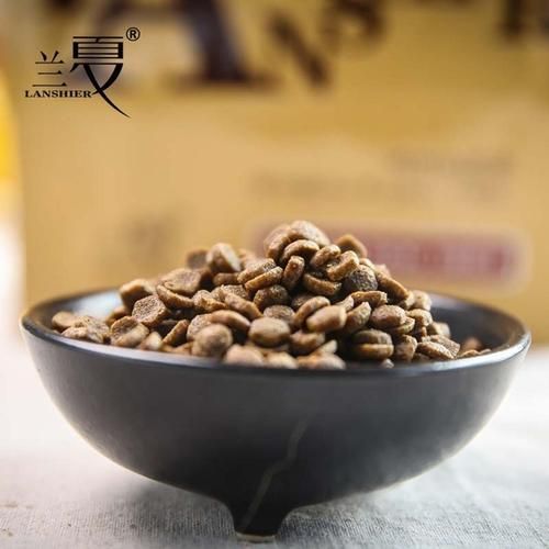 除了自制粮之外，铲屎官们应该怎么选择狗粮？