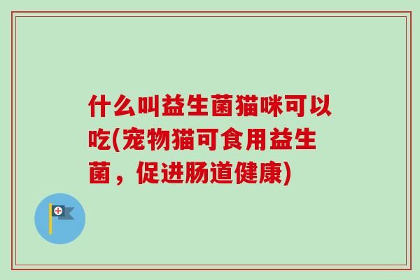 什么叫益生菌猫咪可以吃(宠物猫可食用益生菌，促进肠道健康)