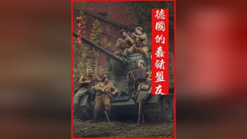 德国的蠢猪盟友