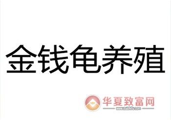金钱龟养殖加盟