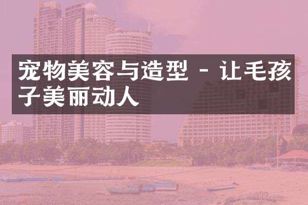 宠物美容与造型 - 让毛孩子美丽动人
