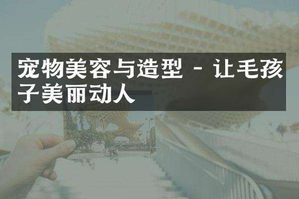宠物美容与造型 - 让毛孩子美丽动人