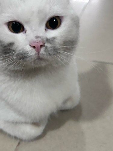 bb你挖煤回来啦[愉快][愉快]