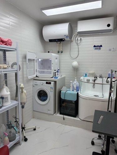 万柳这家宠物店真的太赞了！