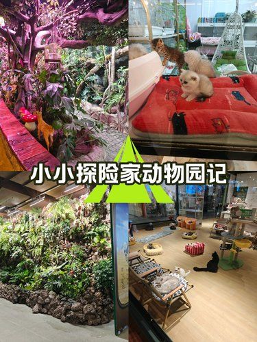 免费！小小探险家动物园记！