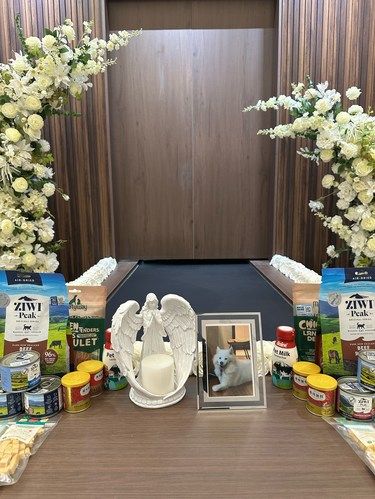 死亡不是生命的对立面，而是一部分