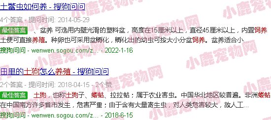土狗虫养殖技术