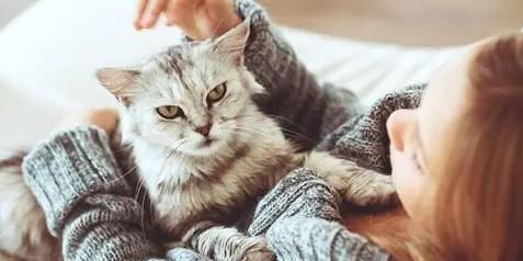 小猫尿身上怎么办（如何处理宠物的不良行为）