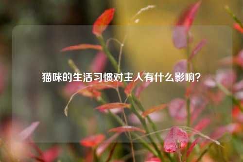 猫咪的生活习惯对主人有什么影响？