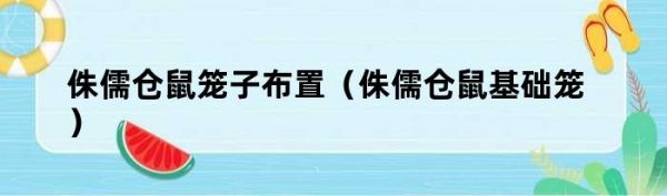 侏儒仓鼠笼子布置（侏儒仓鼠基础笼）