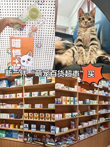 毛孩子的百宝箱，宠主们看过来