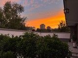 北京宠物火化善终-度宠宠物火化庙存服务