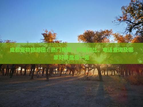 成都宠物旅游团：热门推荐、价格对比、电话查询及哪家好评度高一览