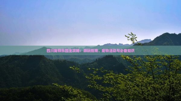 四川宠物乐园全攻略：游玩指南、宠物活动与必备知识