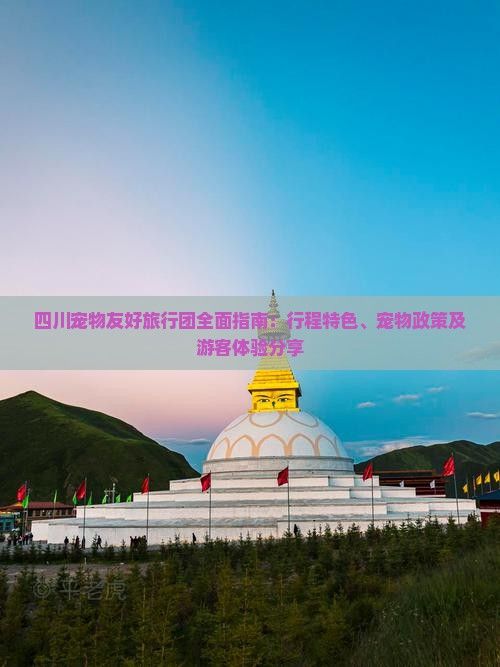 四川宠物友好旅行团全面指南：行程特色、宠物政策及游客体验分享