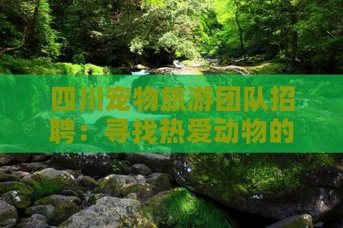 四川宠物旅游团队招聘：寻找热爱动物的你！