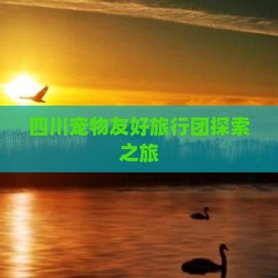 四川宠物友好旅行团探索之旅