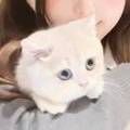 https://p0.meituan.net/userheadpicbackend/e8e998569d1c83834be00147c946beb23522.jpg%40120w_120h_1e_1c_1l%7Cwatermark%3D0