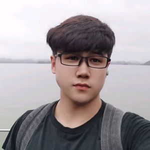 戆直的扇贝