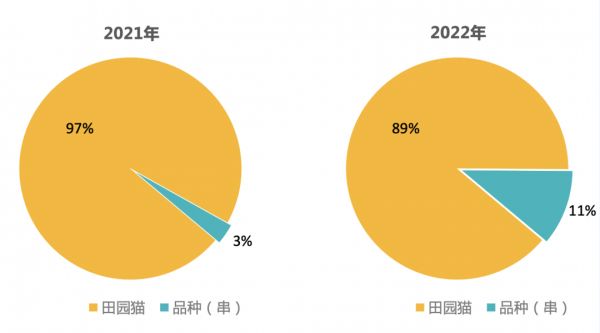 你宠上天的布偶猫，明天可能就进领养中心了
