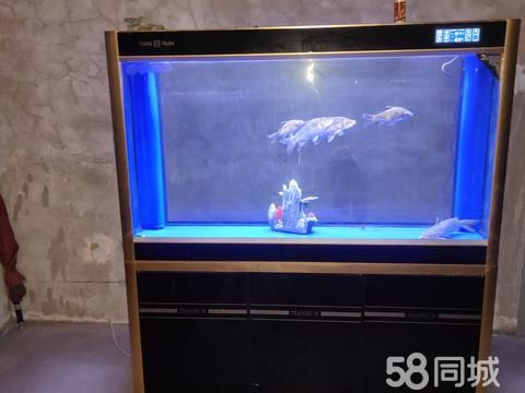 开封花鸟鱼虫·出售二手鱼缸，长1米5，高1米6，宽40，底滤，功能一切正常，