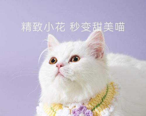 揭秘猫咪口水臭的原因（从饮食、疾病到生活习惯）