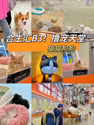 宠物友好！合生汇终于开窍了！