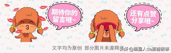 如何给狗狗补充营养，看这篇就够了！