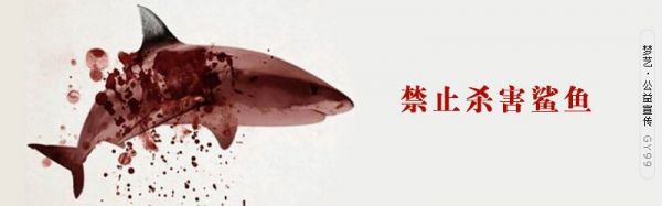 百灵的饲养治理与生活习性