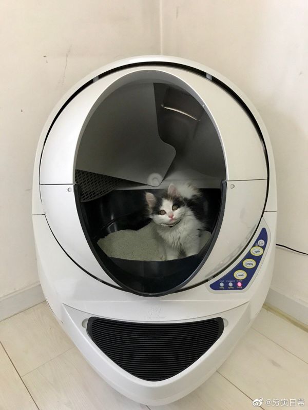 回喵星了……