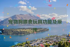 宠物狗喂食玩具功能及原理