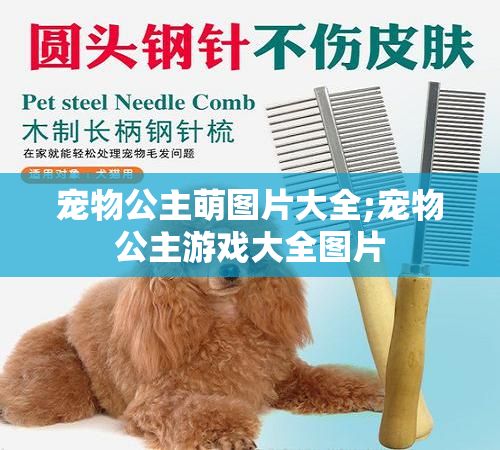 宠物公主萌图片大全;宠物公主游戏大全图片
