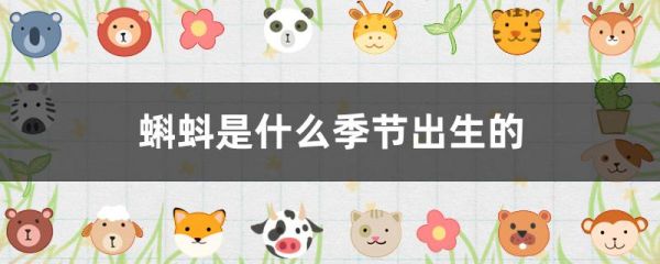 蝌蚪是什么季节出生的