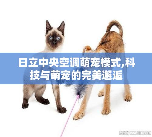 日立中央空调萌宠模式,科技与萌宠的完美邂逅