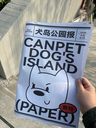 成都的宠物公园已经next level了