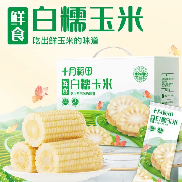 十月稻田 鲜食白糯玉米2.08kg(260g*8)东北粘糯玉米 非转基因 大棒