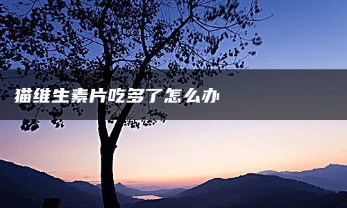 猫维生素片吃多了怎么办