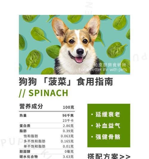 狗狗是否需要补充维生素？（为你的狗狗提供全面的营养保障）