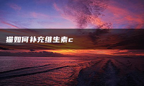 猫如何补充维生素c