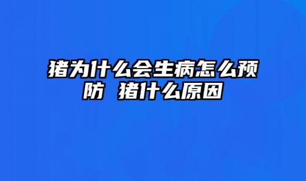 猪为什么会生病怎么预防 猪什么原因