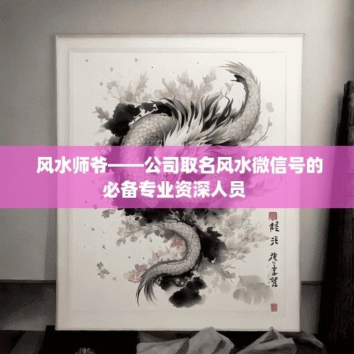 风水师爷——公司取名风水微信号的必备专业资深人员 