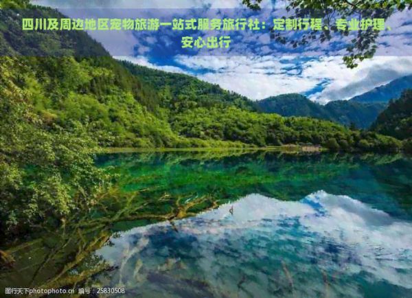 四川及周边地区宠物旅游一站式服务旅行社：定制行程、专业护理、安心出行