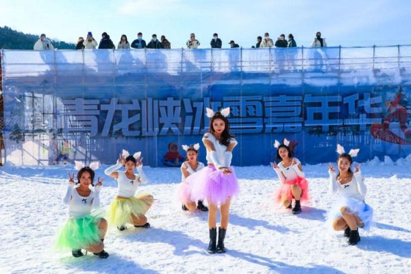 焦作萌宠主题乐园，乐趣无穷的宠物天堂