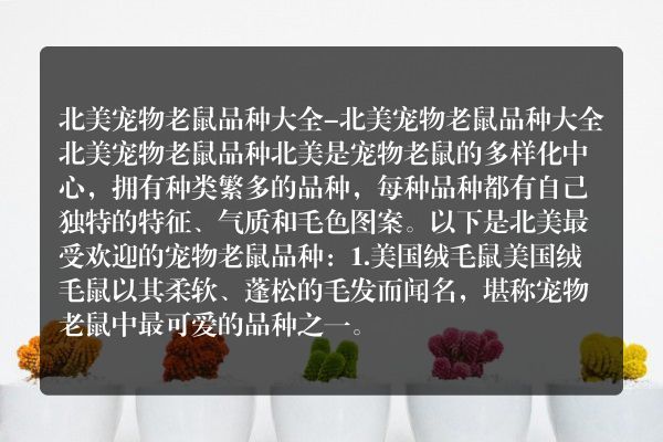 北美宠物老鼠品种大全-北美宠物老鼠品种大全
