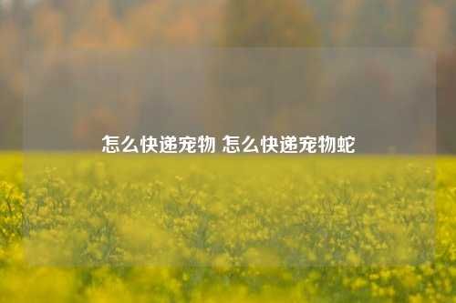 怎么快递宠物 怎么快递宠物蛇