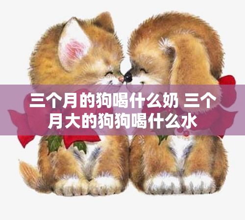 三个月的狗喝什么奶 三个月大的狗狗喝什么水