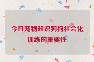 今日宠物知识狗狗社会化训练的重要性